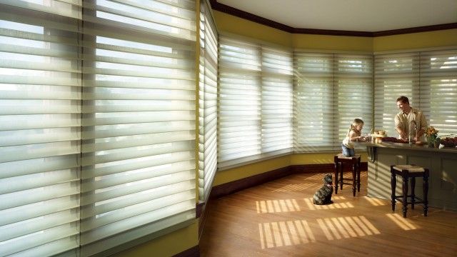 Silhouette® Window Shadings