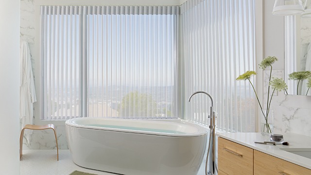 Bathroom with Window Shades