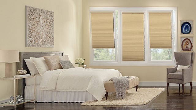 Bedroom with Window Shades