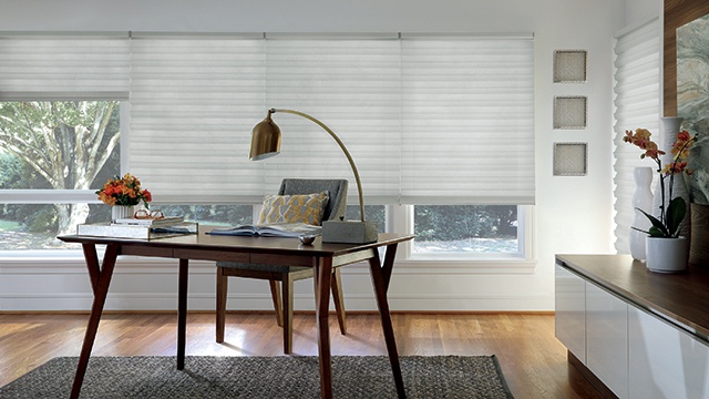 Home Office with Window Shades