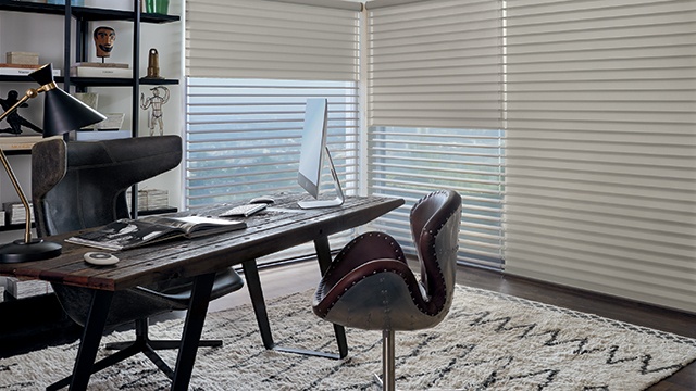 Home Office with Window Shades