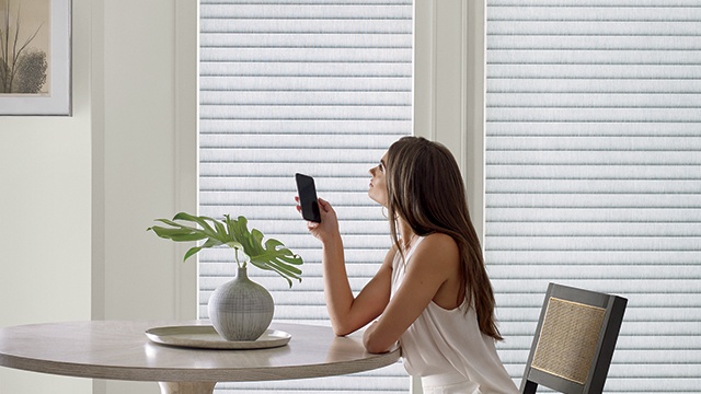 Kitchen with Window Shades