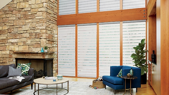 Living Room with Window Shades