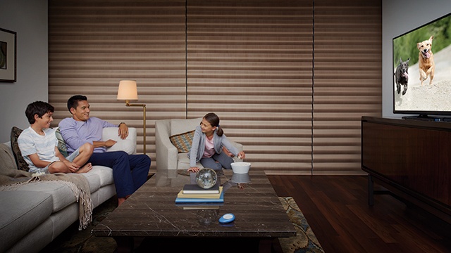 Living Room with Window Shades