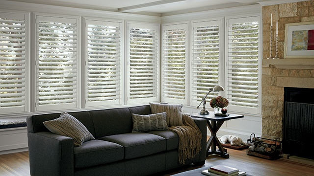 Living Room with Window Shades