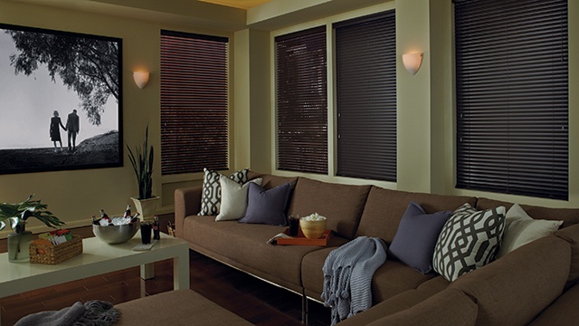 Media Room with Window Shades