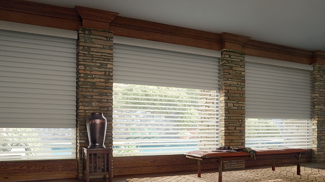 Media Room with Window Shades