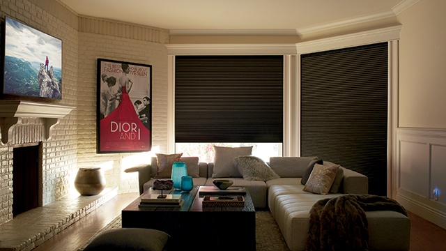 Media Room with Window Shades