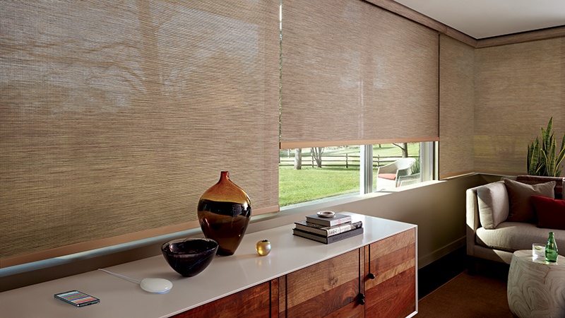Motorized Roller Window Shades and Screen Window Shades